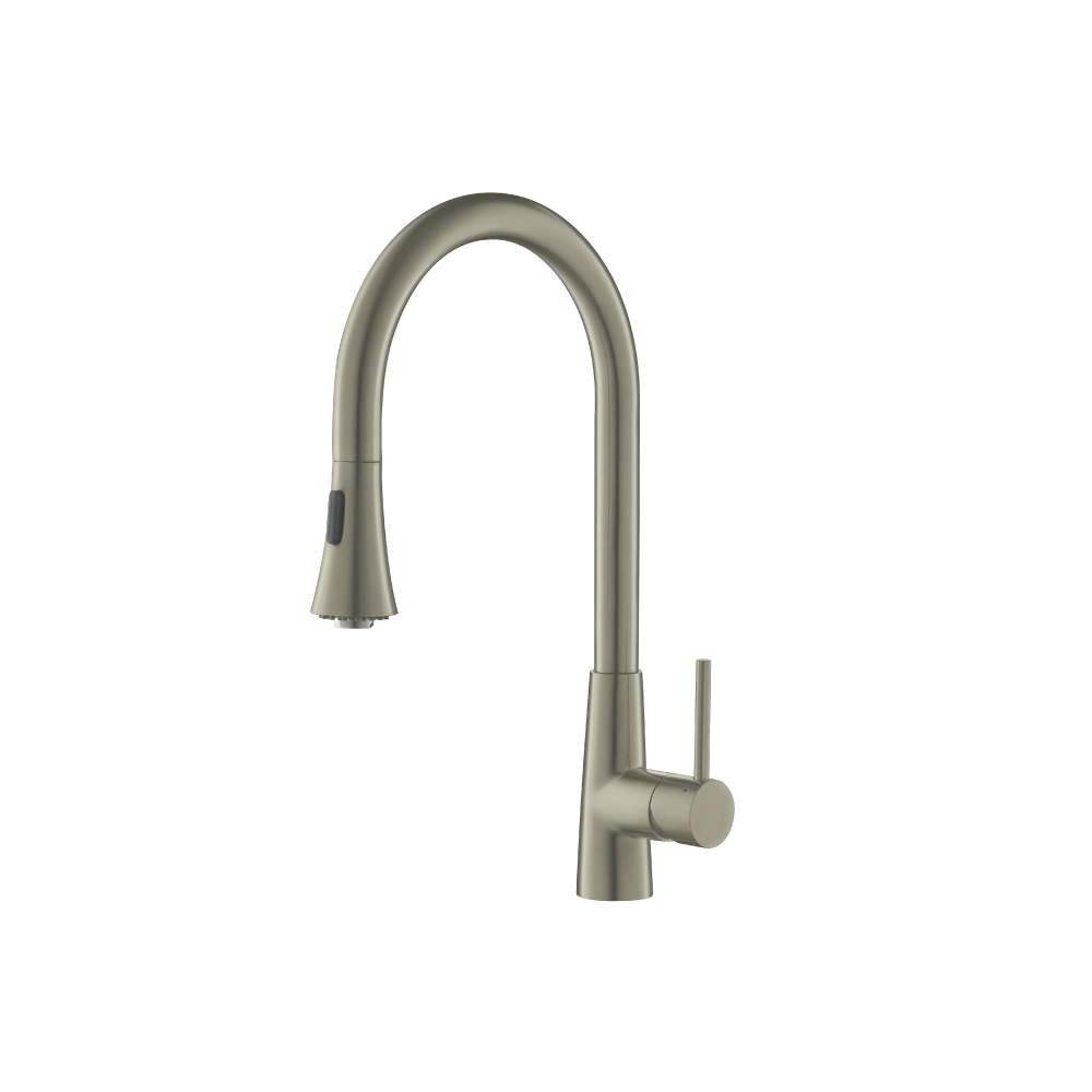 Zest - Dual Spray Stainless Steel Kitchen Faucet With Pull Out | Light Verde