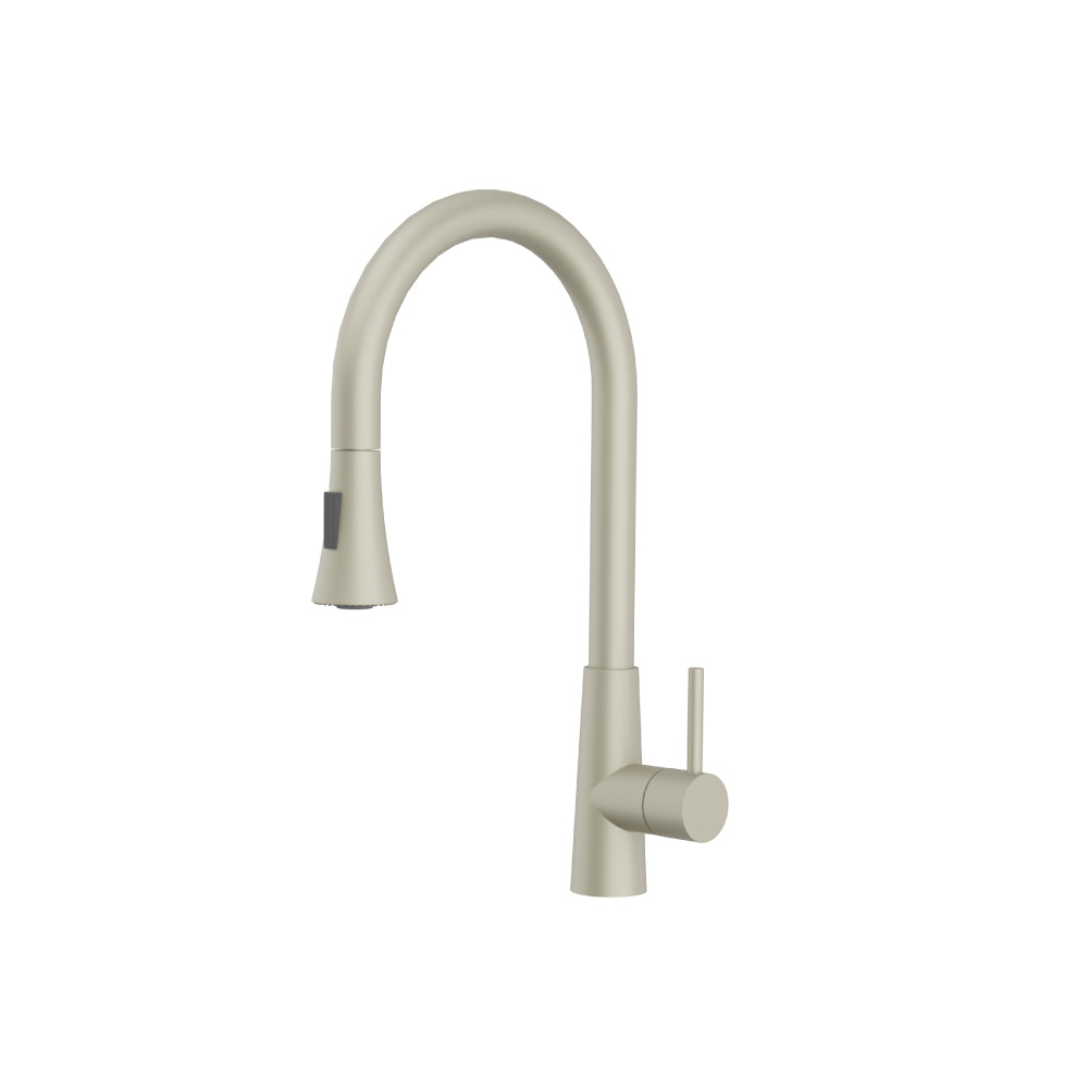 Zest - Dual Spray Stainless Steel Kitchen Faucet With Pull Out | Light Verde