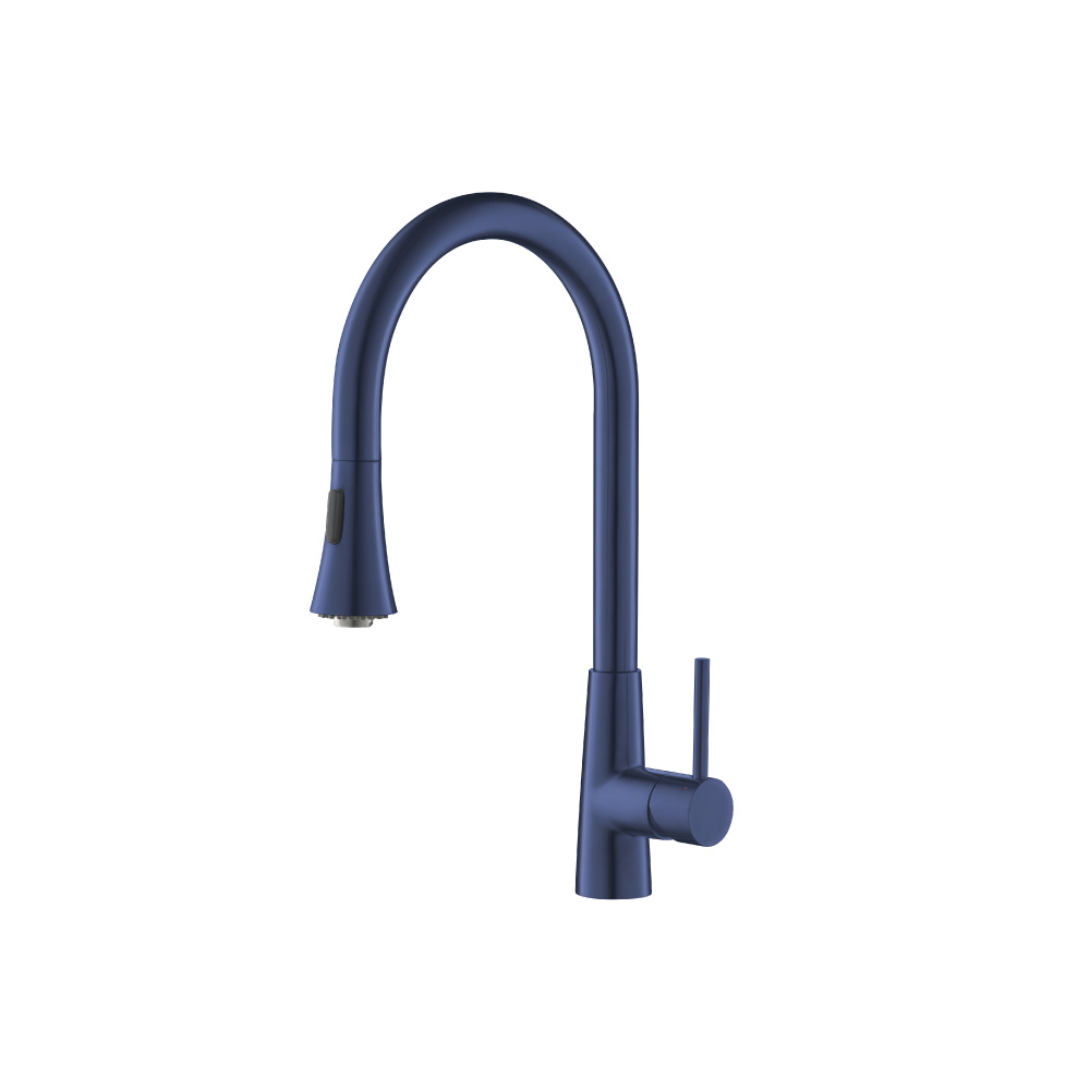 Zest - Dual Spray Stainless Steel Kitchen Faucet With Pull Out | Navy Blue