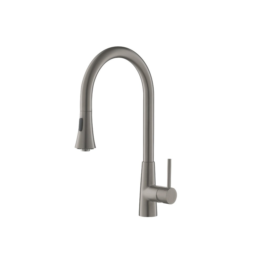 Zest - Dual Spray Stainless Steel Kitchen Faucet With Pull Out | Steel Grey