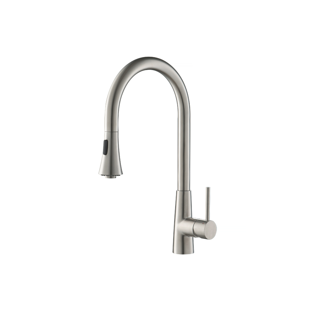 Zest - Dual Spray Stainless Steel Kitchen Faucet With Pull Out | Polished Steel