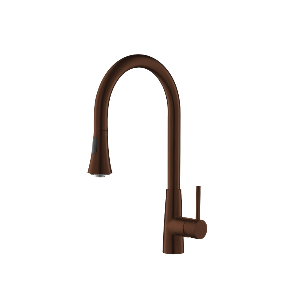 Zest - Dual Spray Stainless Steel Kitchen Faucet With Pull Out | Vortex Brown