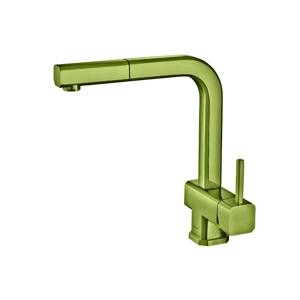 Cito - Dual Spray Stainless Steel Kitchen Faucet With Pull Out | Isenberg Green