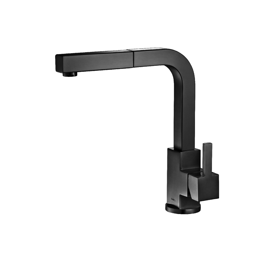 Deus - Dual Spray Stainless Steel Kitchen Faucet With Pull Out | Gloss Black