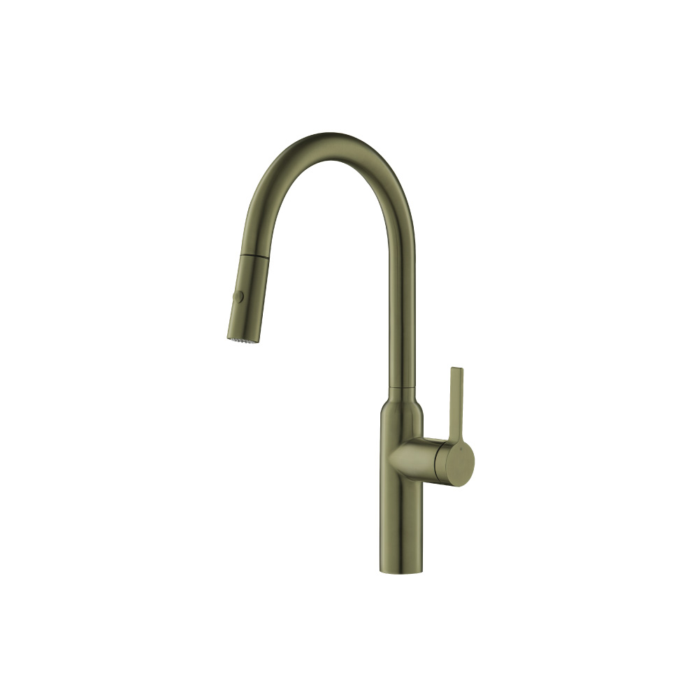Ziel - Dual Spray Stainless Steel Kitchen Faucet With Pull Out | Army Green