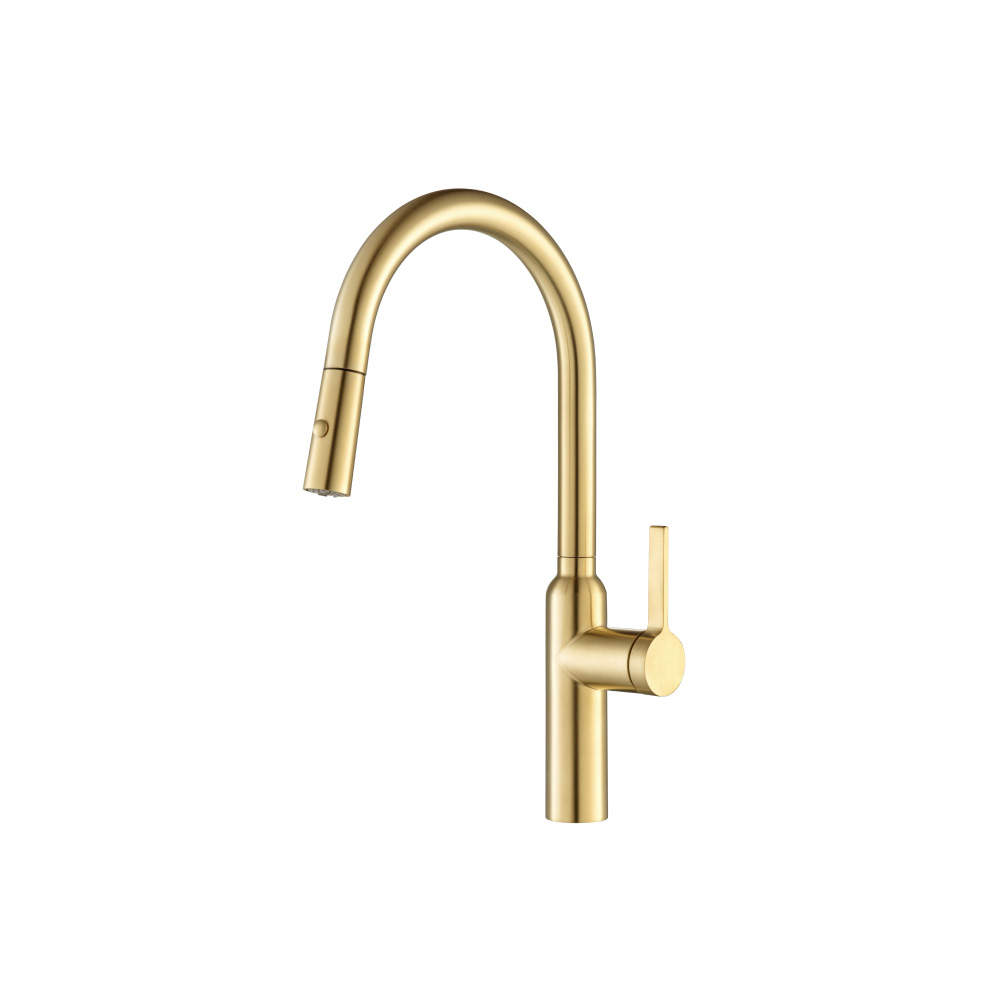 Ziel - Dual Spray Stainless Steel Kitchen Faucet With Pull Out | Brushed Gold PVD
