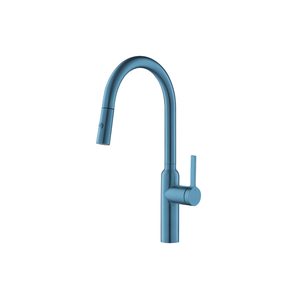 Ziel - Dual Spray Stainless Steel Kitchen Faucet With Pull Out | Blue Platinum