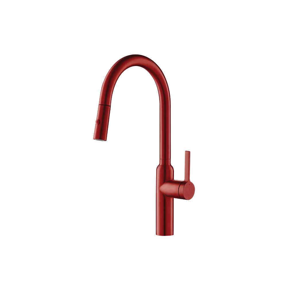 Ziel - Dual Spray Stainless Steel Kitchen Faucet With Pull Out | Crimson