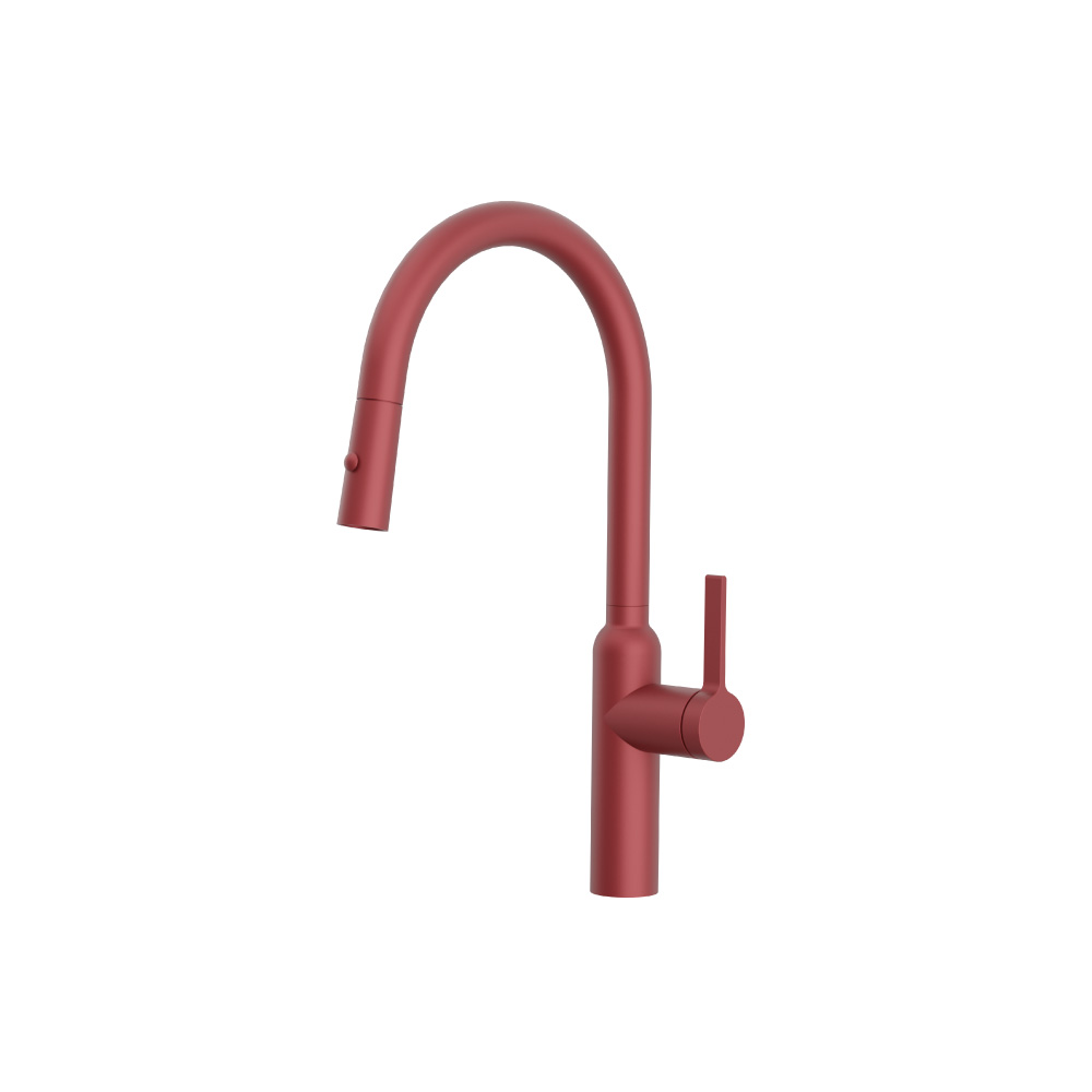 Ziel - Dual Spray Stainless Steel Kitchen Faucet With Pull Out | Crimson