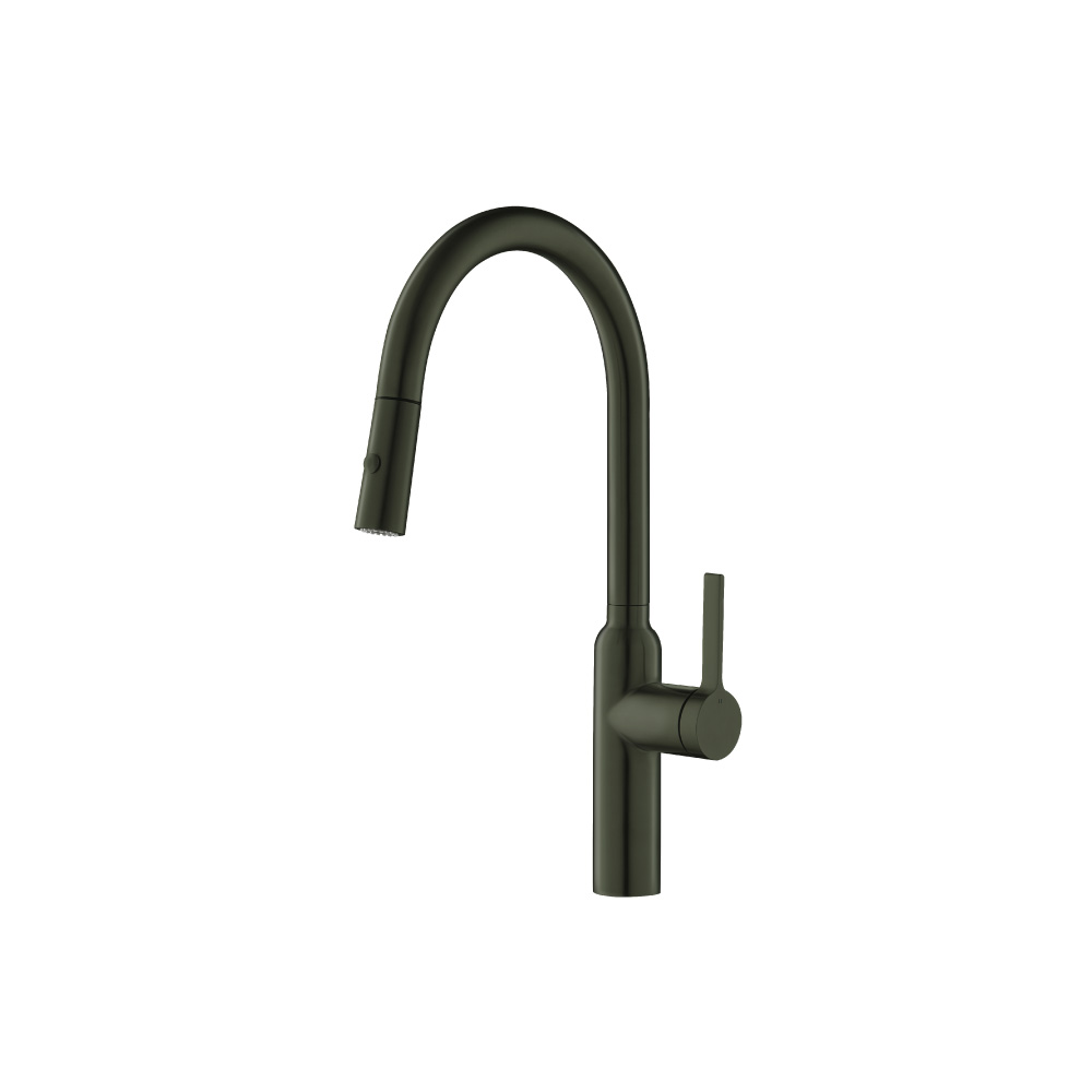 Ziel - Dual Spray Stainless Steel Kitchen Faucet With Pull Out | Dark Green