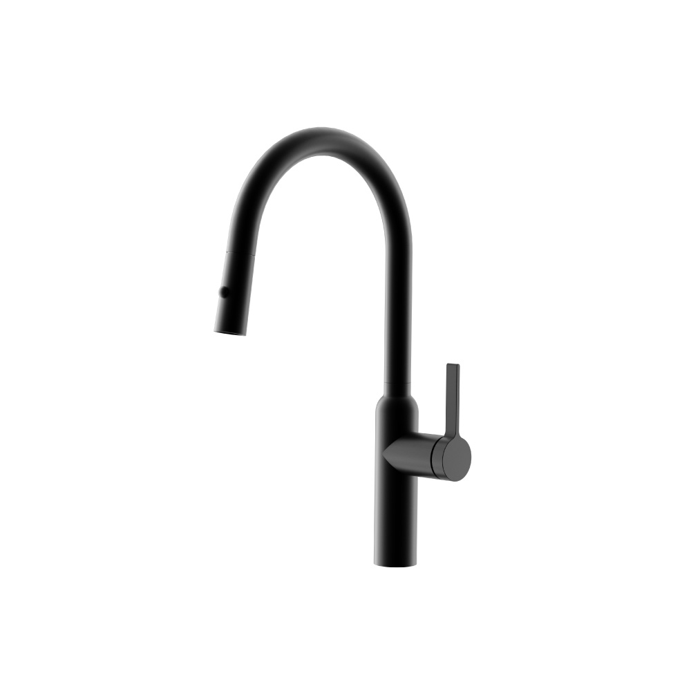 Ziel - Dual Spray Stainless Steel Kitchen Faucet With Pull Out | Gloss Black