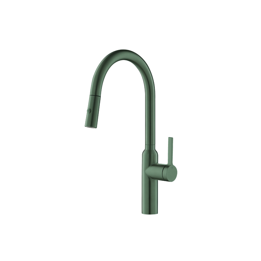 Ziel - Dual Spray Stainless Steel Kitchen Faucet With Pull Out | Leaf Green
