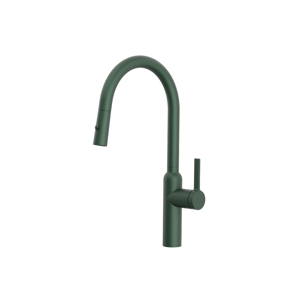 Ziel - Dual Spray Stainless Steel Kitchen Faucet With Pull Out | Leaf Green