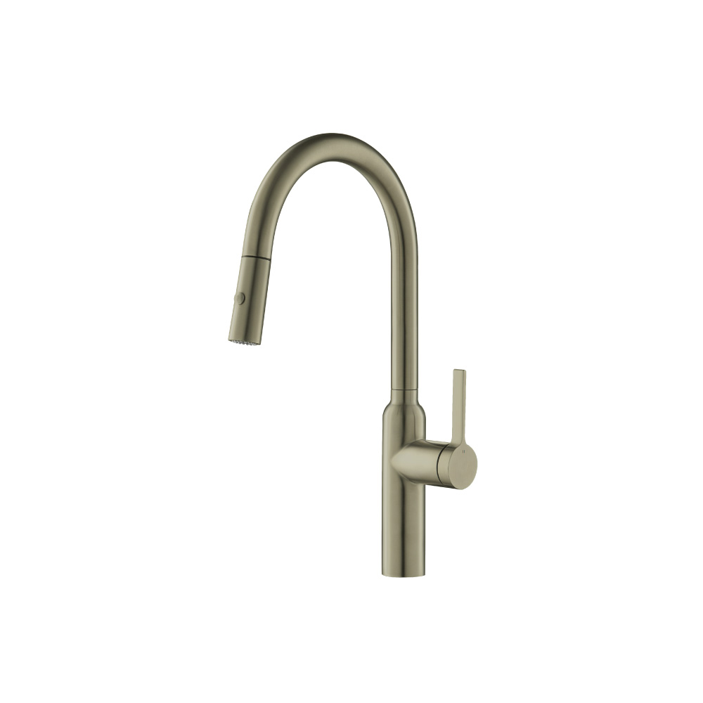 Ziel - Dual Spray Stainless Steel Kitchen Faucet With Pull Out | Light Verde