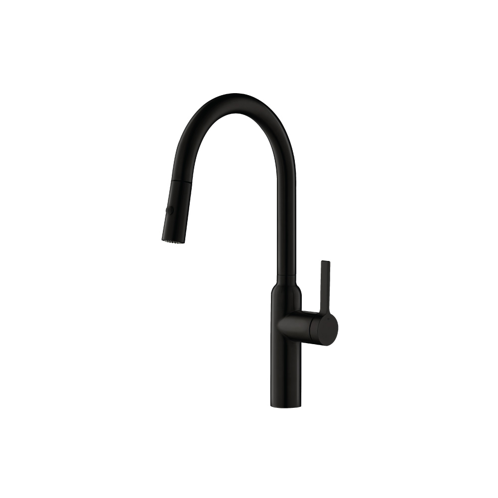 Ziel - Dual Spray Stainless Steel Kitchen Faucet With Pull Out | Matte Black