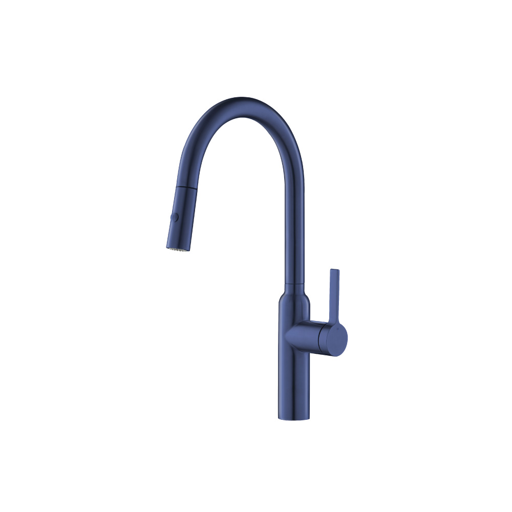 Ziel - Dual Spray Stainless Steel Kitchen Faucet With Pull Out | Navy Blue
