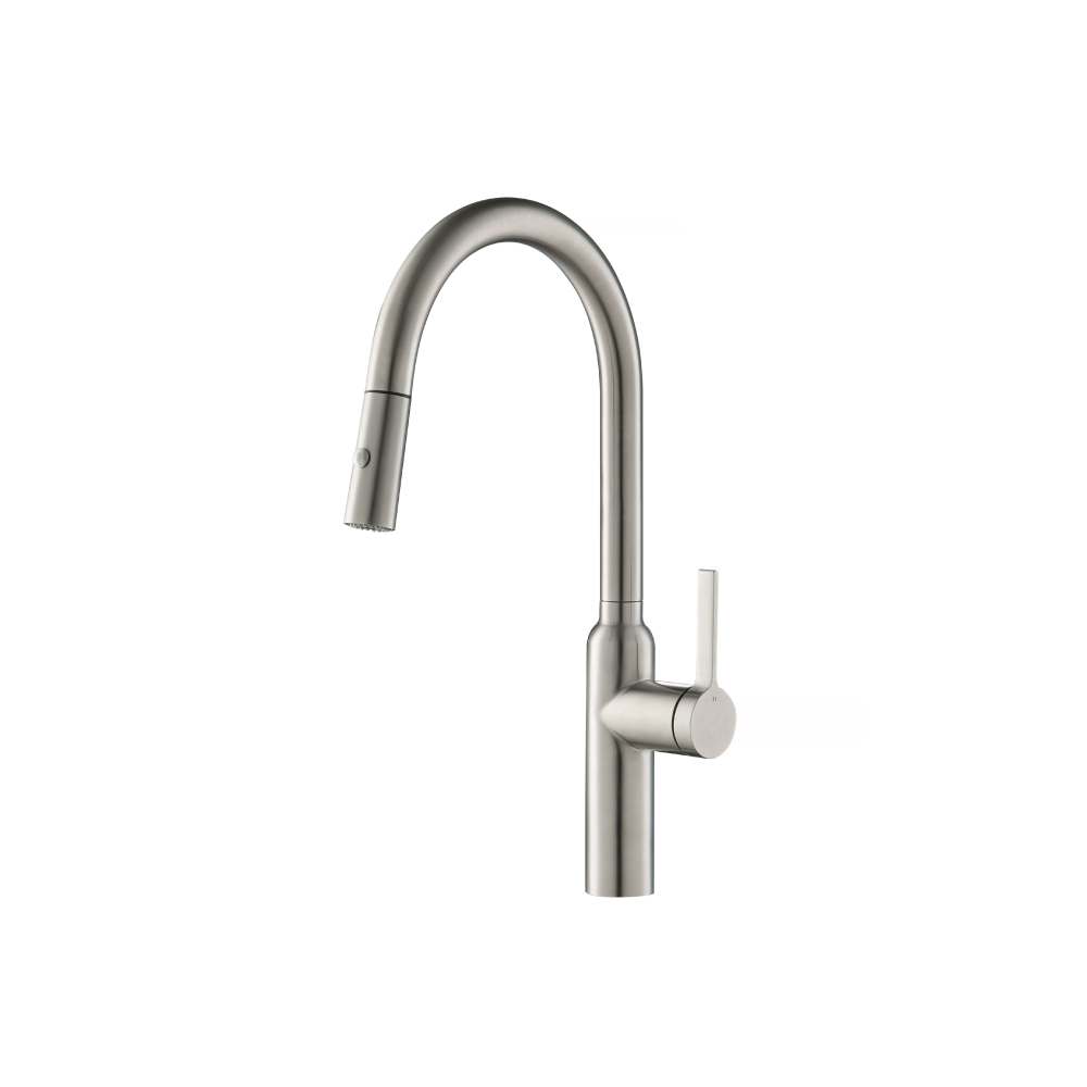Ziel - Dual Spray Stainless Steel Kitchen Faucet With Pull Out | Stainless Steel