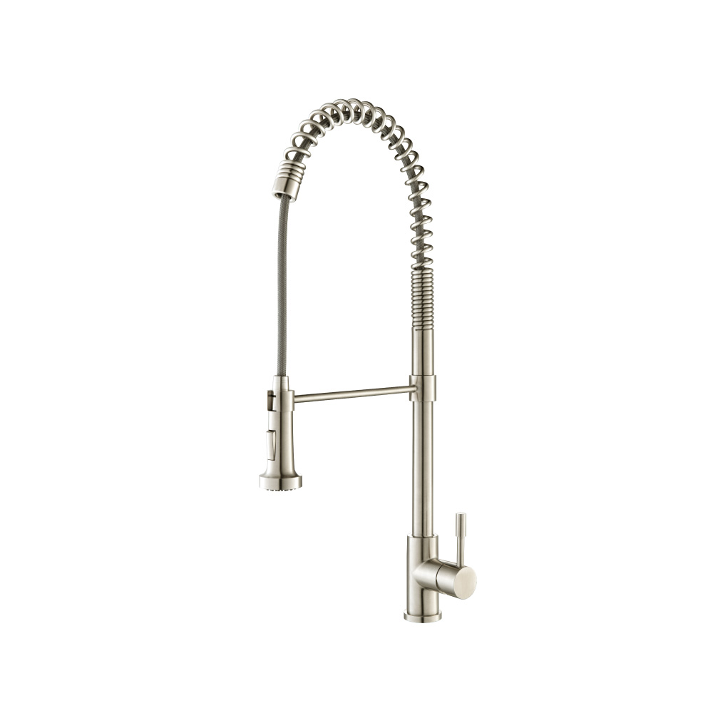 Professio - S - Dual Spray Professional Stainless Steel Kitchen Faucet With Pull Out | Stainless Steel
