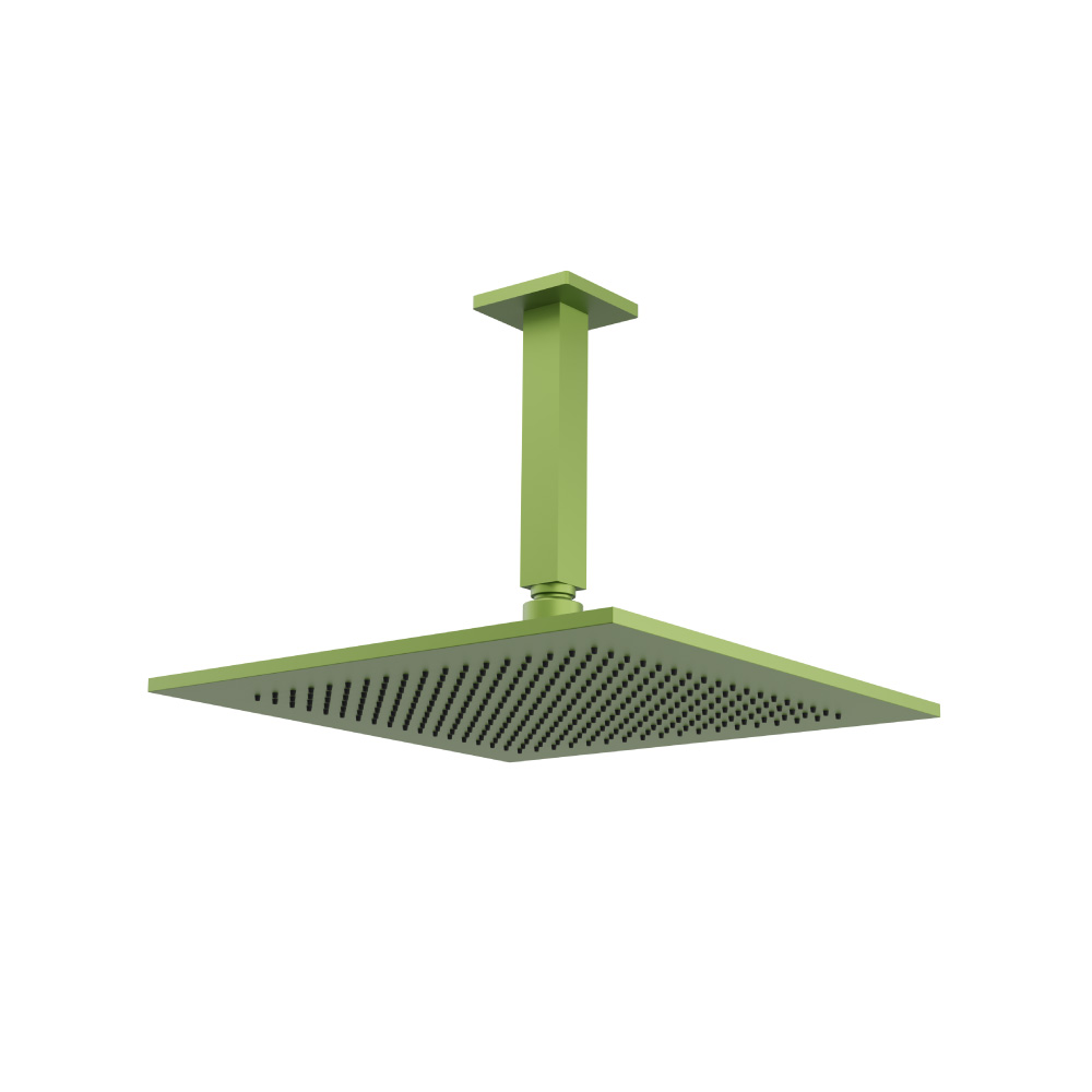 12" Rain Head with 6" Ceiling Mount Arm | Isenberg Green