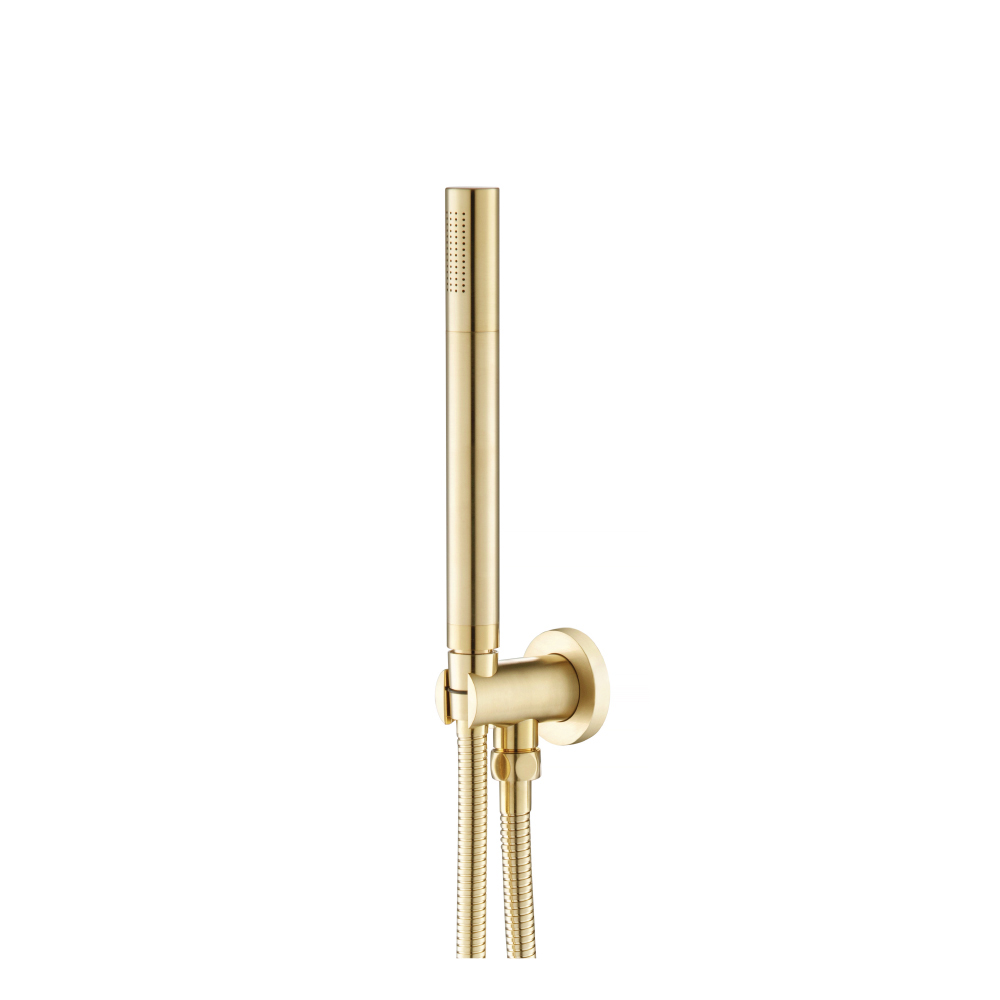 Hand Shower Set with Holder and Elbow Combo | Satin Brass PVD