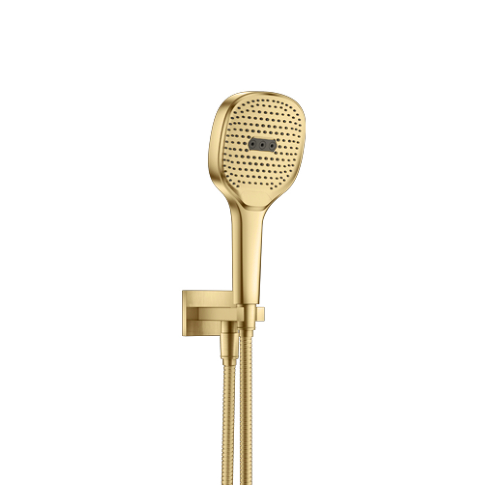 Hand Shower Set with Holder and Elbow Combo | Satin Brass PVD