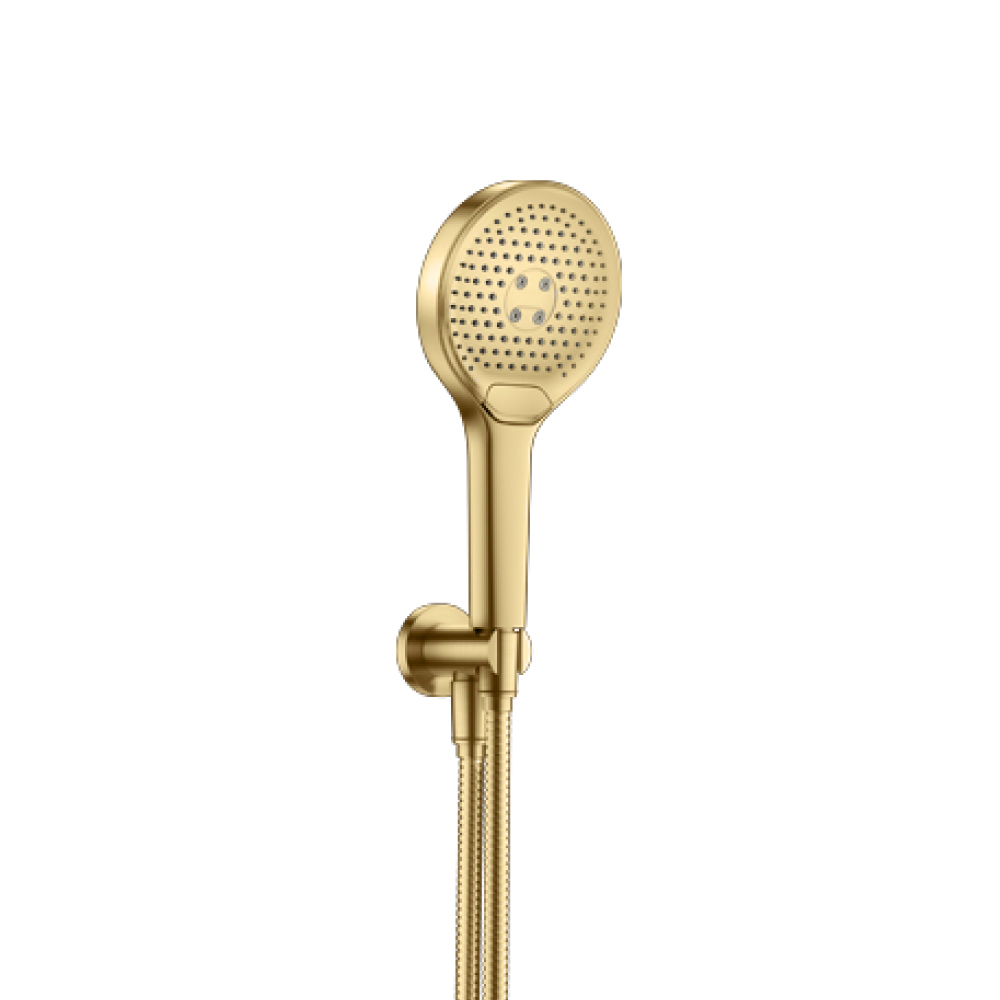 Hand Shower Set with Holder and Elbow Combo | Satin Brass PVD