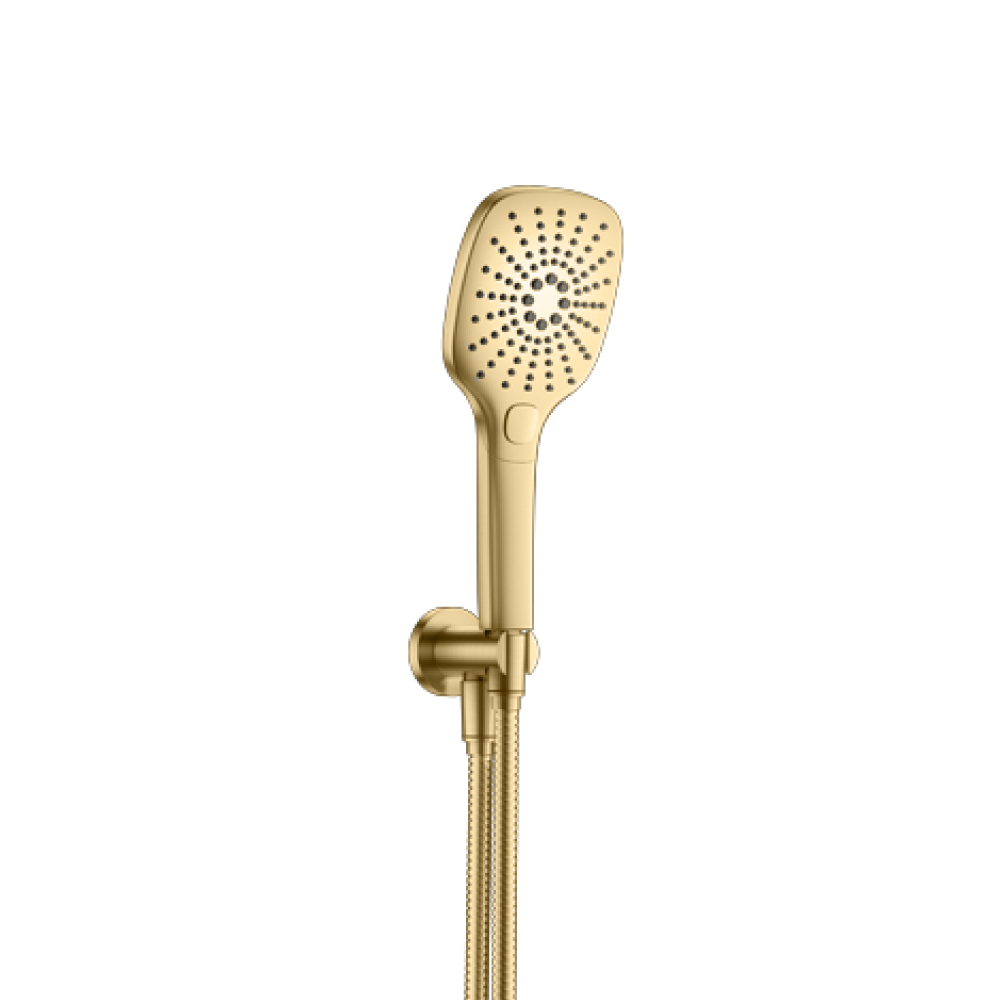 Hand Shower Set with Holder and Elbow Combo | Satin Brass PVD