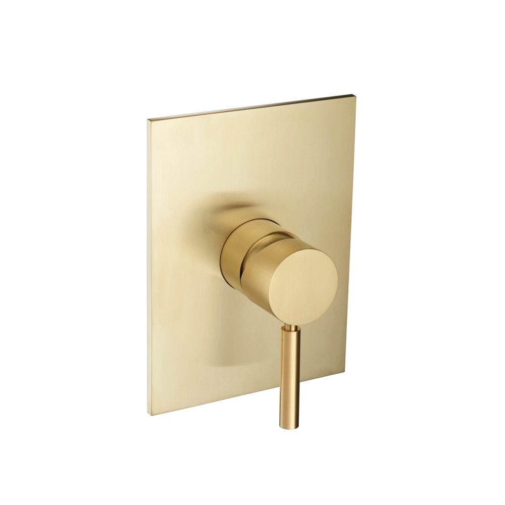 Shower Trim With Pressure Balance Valve | Satin Brass PVD