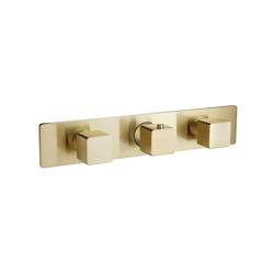 Trim For Horizontal Thermostatic Valve with 2 Volume Controls