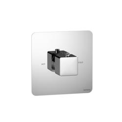 3/4" Thermostatic Valve With Trim