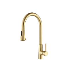 Zest - Dual Spray Stainless Steel Kitchen Faucet With Pull Out